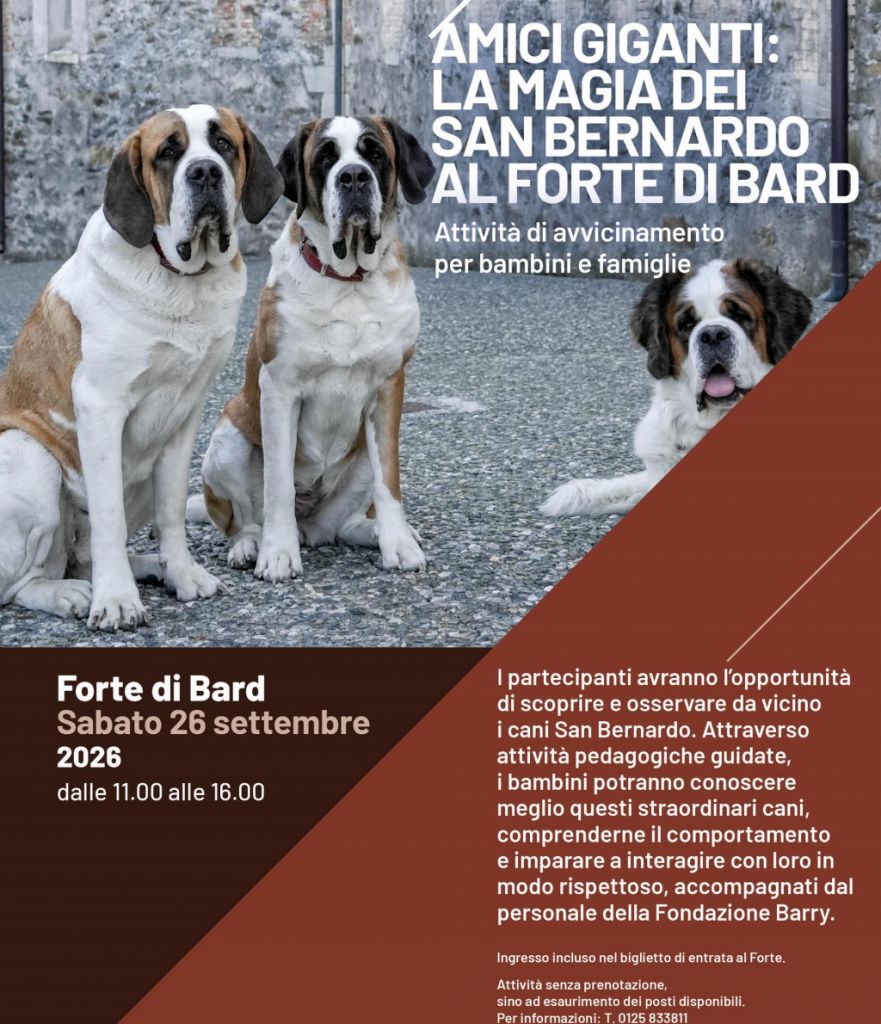 Amici giganti a Bard